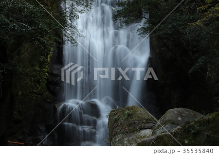 桑の木の滝 桑の木の滝 35535840