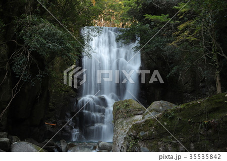 桑の木の滝 35535842