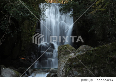 桑の木の滝 桑の木の滝 35535843