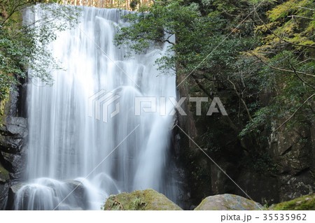 桑の木の滝 桑の木の滝 35535962