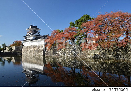 紅葉に包まれる美しい富山城 紅葉に包まれる美しい富山城 35536066