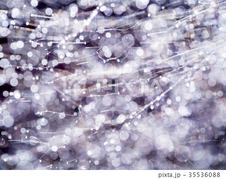 Spider web with bokeh and light 35536088