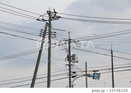 電柱と電線 電柱と電線 35536230