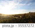 夕暮れの高原 35537272