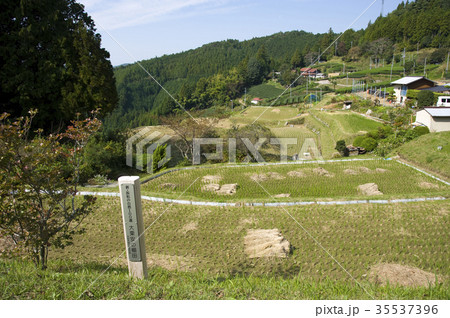 大栗安の棚田 35537396