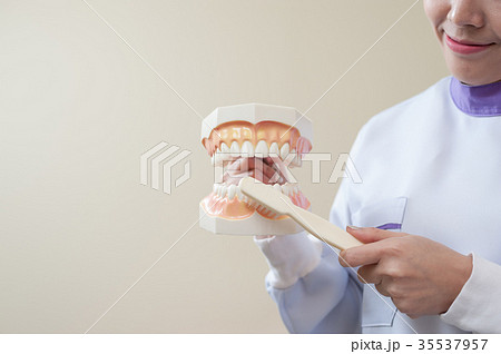Female patient with dental checkup 35537957