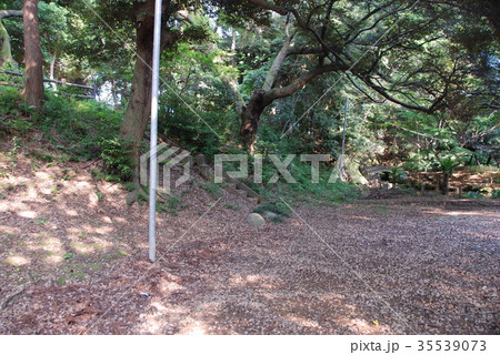 国府台城跡に残る土塁 国府台城跡に残る土塁 35539073