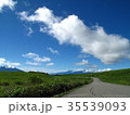 夏 35539093