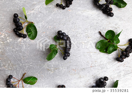 Chokeberry on grey background. Aronia berry 35539281