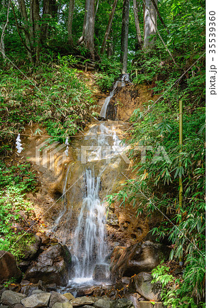 戸隠神社　中社の滝 35539360