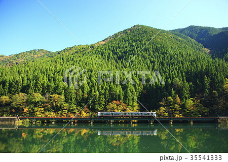 紅葉の高山本線 35541333