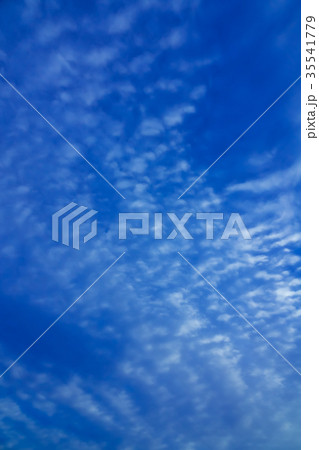 11月の空と雲 （うろこ雲） 35541779