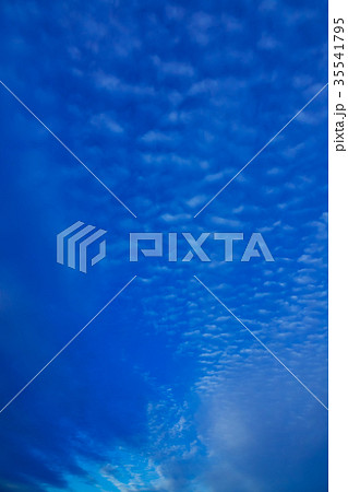 11月の空と雲 （うろこ雲） 35541795