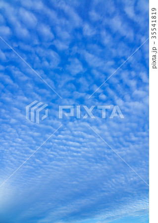 11月の空と雲 （うろこ雲） 35541819