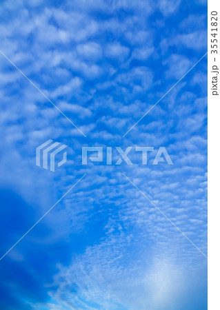 11月の空と雲 （うろこ雲） 35541820