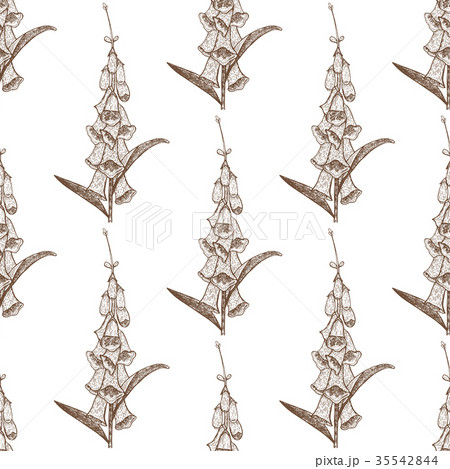 Foxglove Seamless Hand-Drawn Pattern Foxglove Seamless Hand-Drawn Pattern 35542844