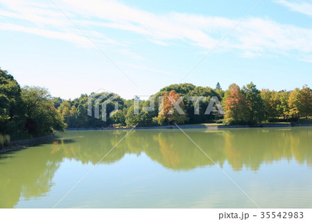 秋の公園 35542983