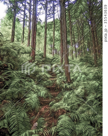 Dark Line Cartoon Drawing; Trail World Heritage  35543639