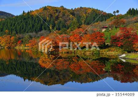 八塩ダムと紅葉 35544009