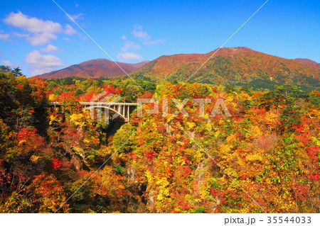 鳴子峡の紅葉 35544033