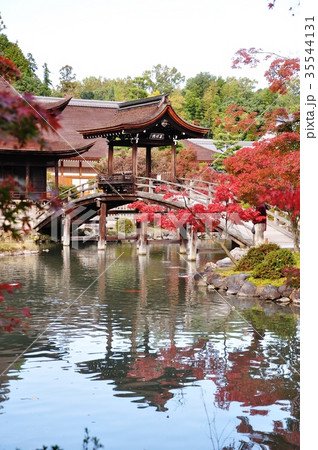 秋の虎渓山永保寺 35544131