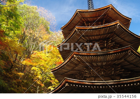 信州上田の文化財　国宝　安楽寺八角三重塔と紅葉　全国唯一の木造八角塔　鎌倉末期の建立 35544156