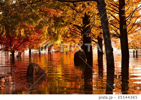 土師ダム　紅葉と水鏡 35544365