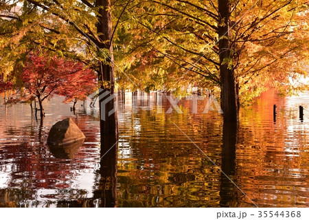 土師ダム　紅葉と水鏡 35544368