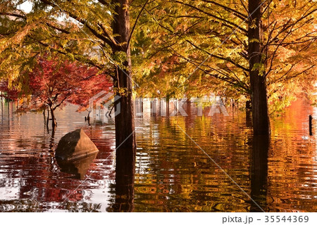 土師ダム　紅葉と水鏡 35544369