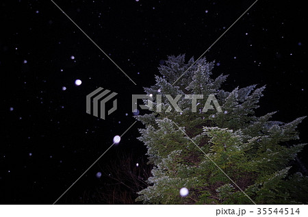 赤城高原の降雪 35544514