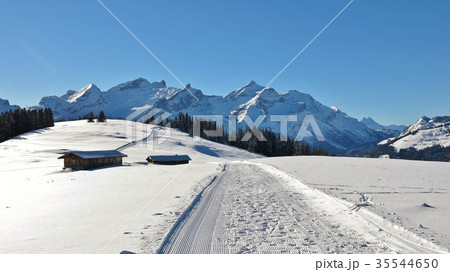 Winter hiking and sledging trail. 35544650