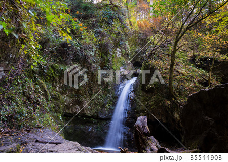 秋の御岳山~七代の滝 秋の御岳山~七代の滝 35544903