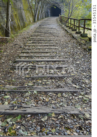 【兵庫県　宝塚市】武田尾の廃線路 35545151