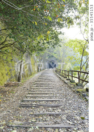 【兵庫県　宝塚市】武田尾の廃線路 35545153