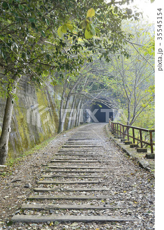 【兵庫県　宝塚市】武田尾の廃線路 35545154