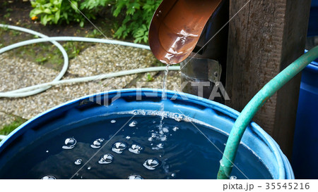 Rain Water Is Streaming into Barrel in the Garden. Rain Water Is Streaming into Barrel in the Garden. 35545216