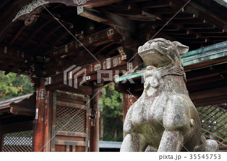 上杉神社 (米沢市) 本殿前の狛犬 上杉神社 (米沢市) 本殿前の狛犬 35545753