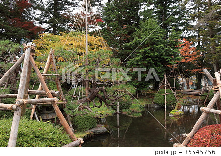 上杉神社 (米沢市) 上杉伯爵邸の庭園 上杉神社 (米沢市) 上杉伯爵邸の庭園 35545756