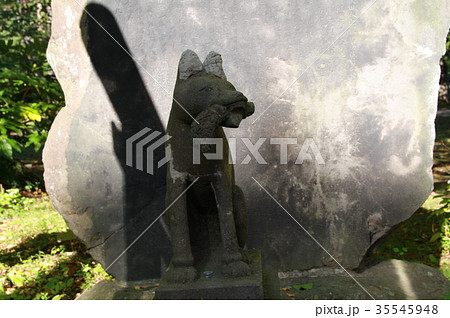 与次郎稲荷神社 与次郎稲荷神社 35545948