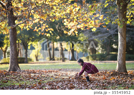 落ち葉で遊ぶ女の子 35545952