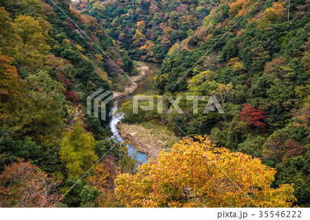 鬼の舌震、2017年秋 紅葉 恋吊橋から見た景色 鬼の舌震、2017年秋 紅葉 恋吊橋から見た景色 35546222