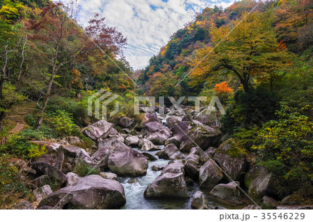 鬼の舌震、2017年秋 紅葉 鬼の舌震、2017年秋 紅葉 35546229