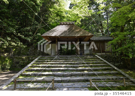 法然寺　山門 35546415