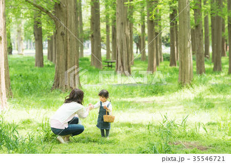 公園で遊ぶ親子 公園で遊ぶ親子 35546721