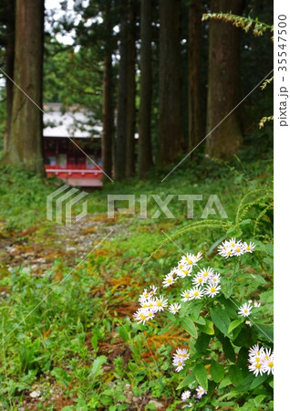 迦葉山弥勒寺山門 35547500