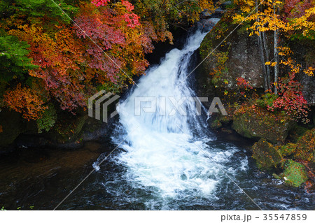 【紅葉見頃】竜頭ノ滝　竜頭の滝（龍頭ノ滝　龍頭の滝）の紅葉（龍頭乃茶屋・観瀑台） 35547859