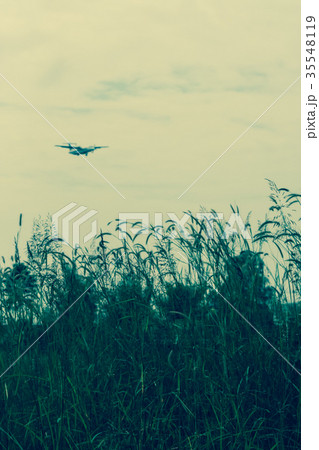 Airplane landing Background shot and Green Grass Airplane landing Background shot and Green Grass 35548119