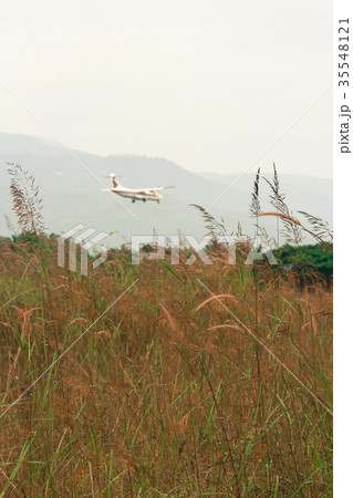 Airplane landing Background shot and Green Grass Airplane landing Background shot and Green Grass 35548121