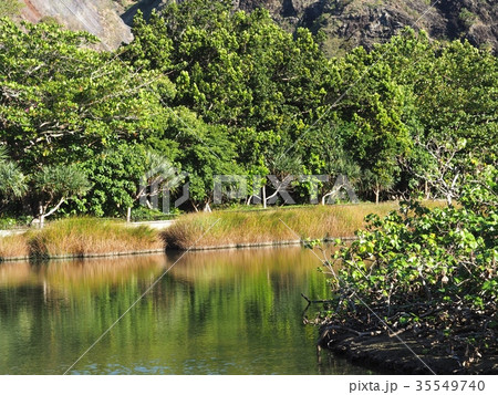 八瀬川 八瀬川 35549740