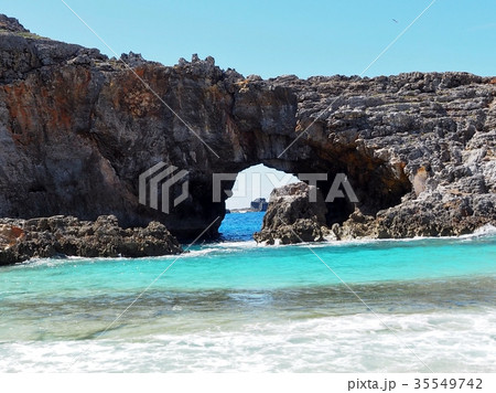 南島 南島 35549742